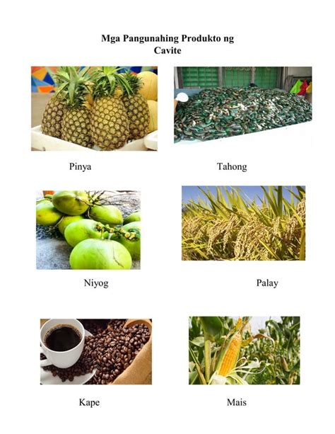 produkto ng calabarzon|Produkto ng Calabarzon .